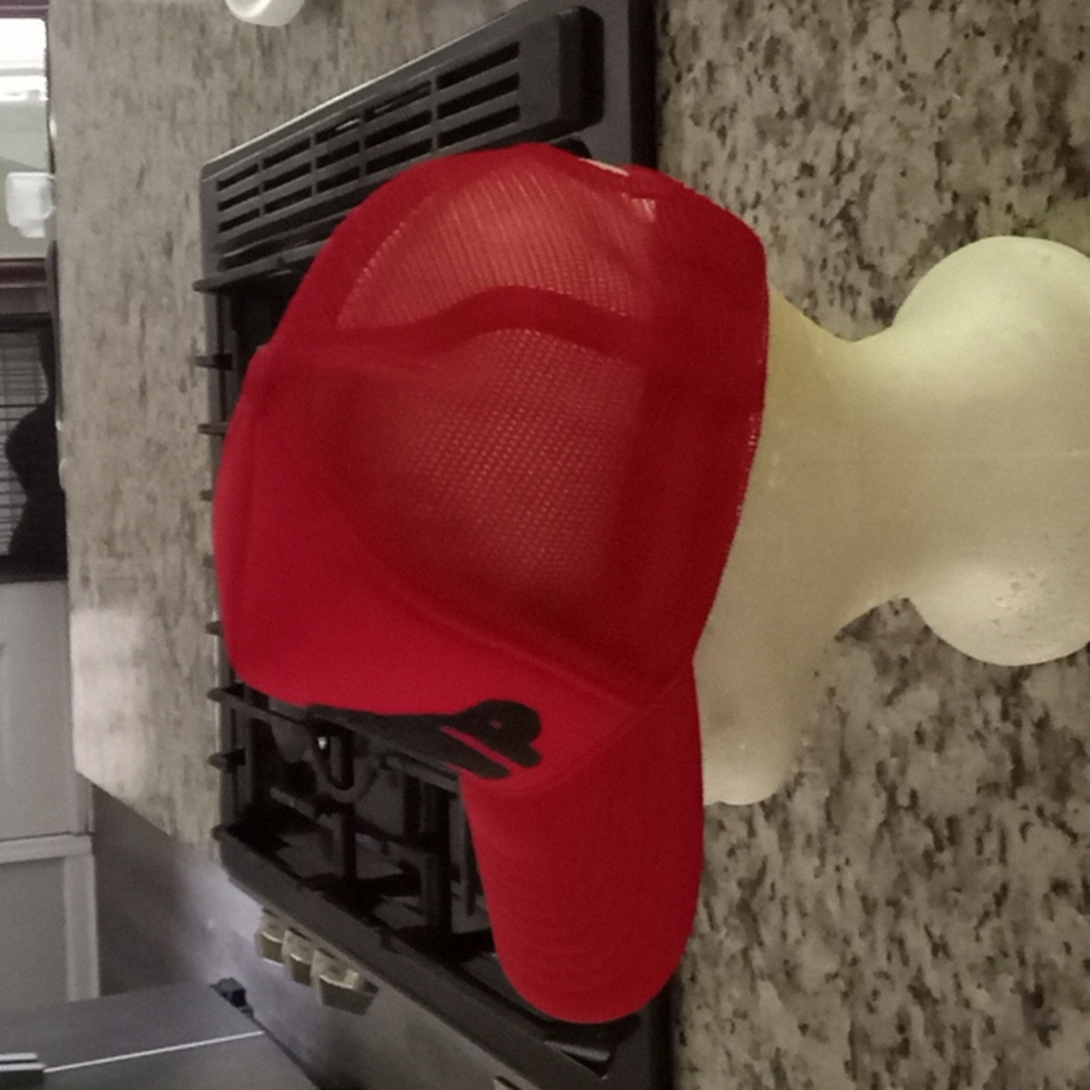Snapback - Picture 3 of 4